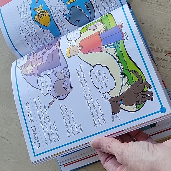 The Usborne Flip-Flap Body Book - Picture 8 of 11